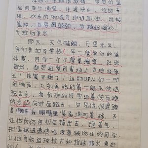 篮球训练的感悟心得体会500字作文
